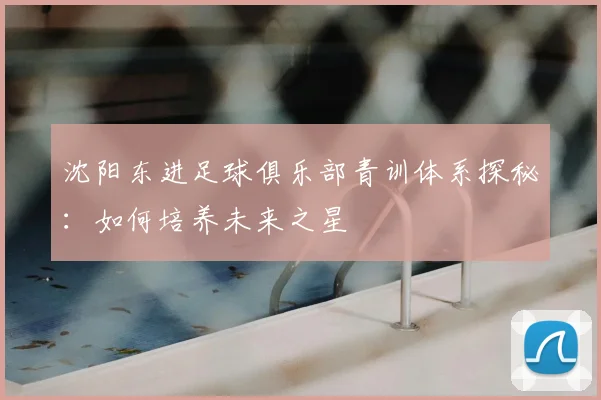 沈阳东进足球俱乐部青训体系探秘：如何培养未来之星