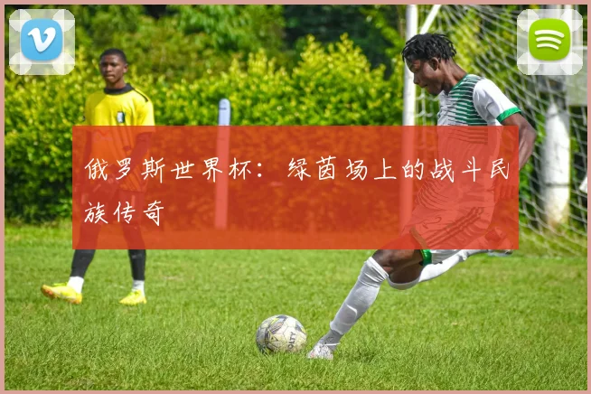 俄罗斯世界杯:绿茵场上的战斗民族传奇
