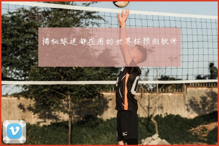 揭秘球迷都在用的世界杯预测软件