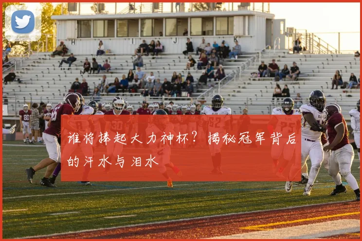 谁将捧起大力神杯？揭秘冠军背后的汗水与泪水