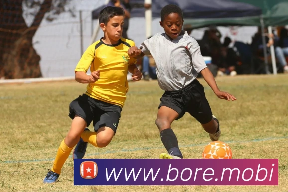 开云手机入口官方网站APP 封面图